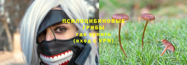 ешки Алексин