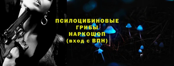 ешки Алексин
