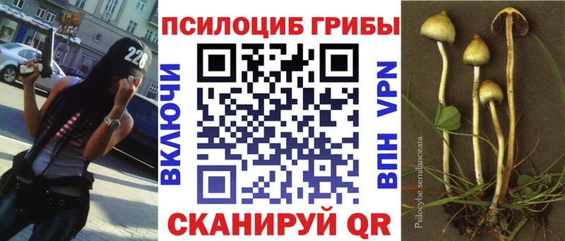 Псилоцибиновые грибы Cubensis ОМГ ОМГ сайт Жуковка