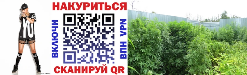 МАРИХУАНА Bruce Banner  Жуковка 